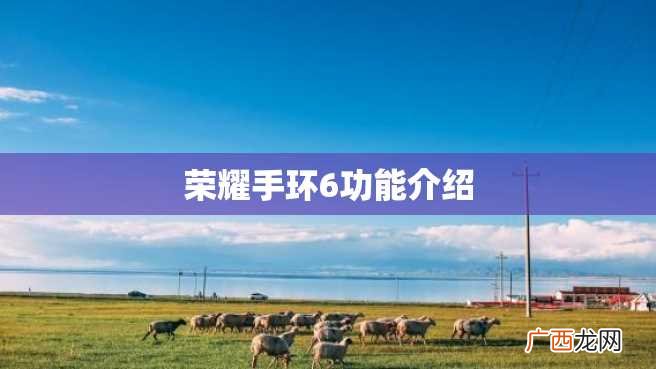 荣耀手环6功能介绍