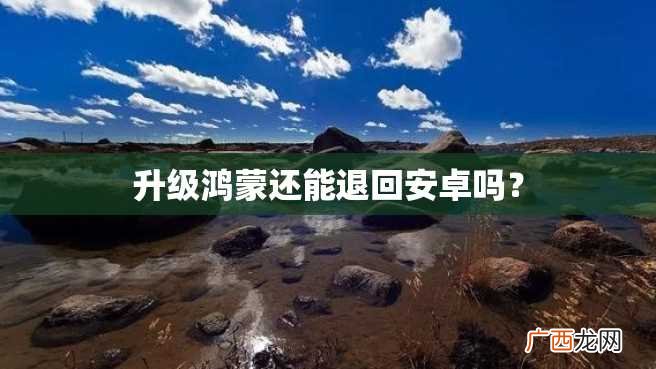 升级鸿蒙还能退回安卓吗？