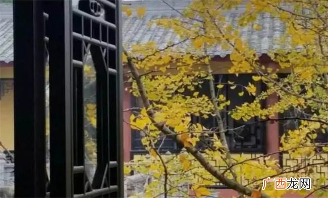 命理学中十星与日主强度的关系都有哪些如何分析