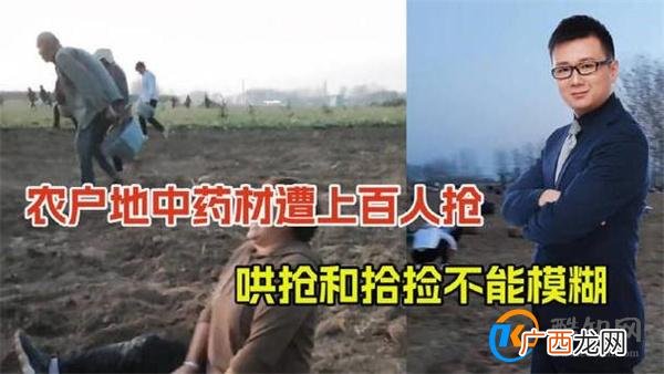 上百村民哄抢药材 承包户坐地大哭 当地部门回应_酷知科普