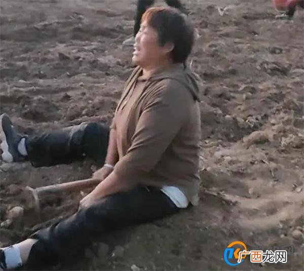 上百村民哄抢药材 承包户坐地大哭 当地部门回应_酷知科普