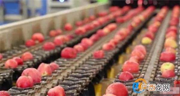 太空苹果到底牛在哪里 中国式现代化 青年的回答_酷知科普