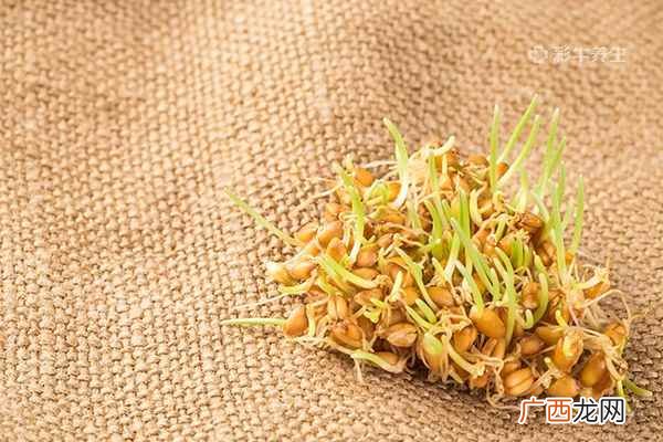 小麦胚芽的功效与作用及食用方法