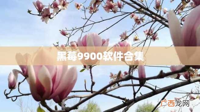 黑莓9900软件合集