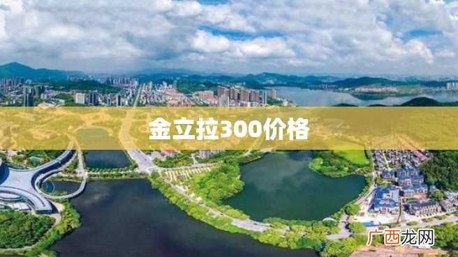 金立拉300价格