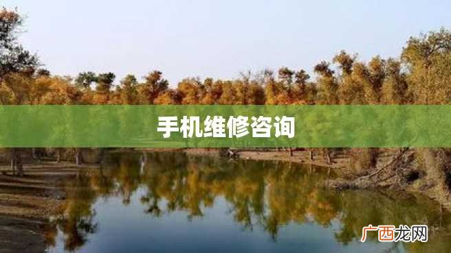 手机维修咨询