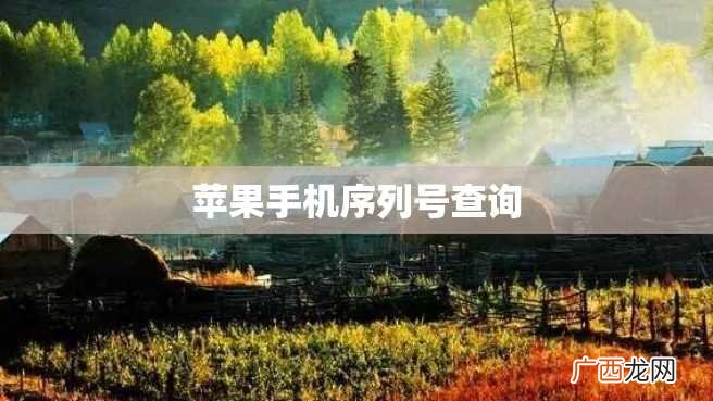 苹果手机序列号查询
