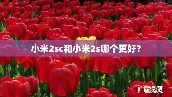 小米2sc和小米2s哪个更好？