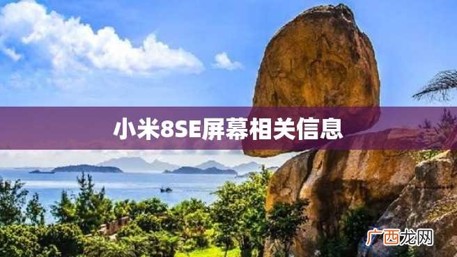 小米8SE屏幕相关信息