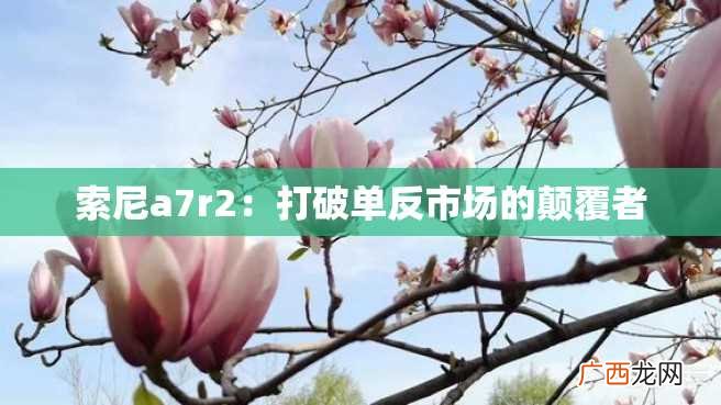 索尼a7r2：打破单反市场的颠覆者