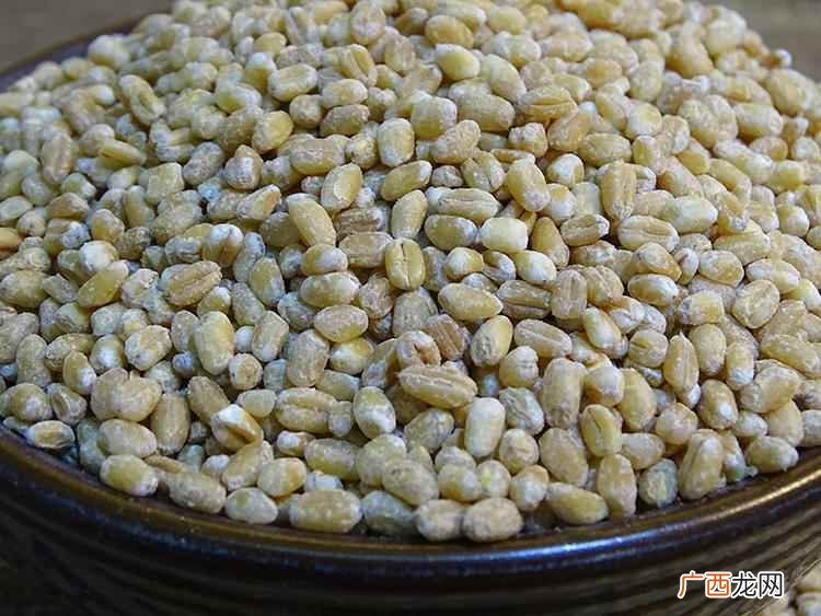 小麦米是面粉吗