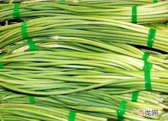 蒜苔尖端部位食用之后会不会对人体健康造成什么不利的影响 蒜苔尖可以吃吗