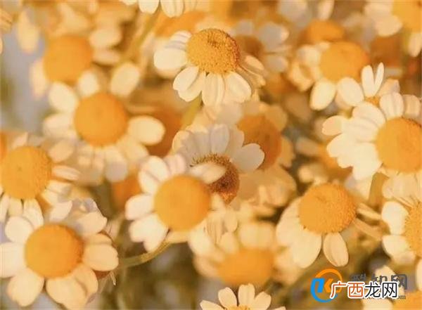 征服中年男人 你就要知道 他很在乎的“这三件事” 很重要