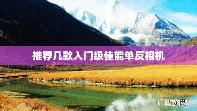 推荐几款入门级佳能单反相机