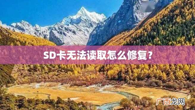 SD卡无法读取怎么修复？