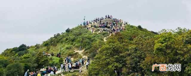 梧桐山海拔多少米