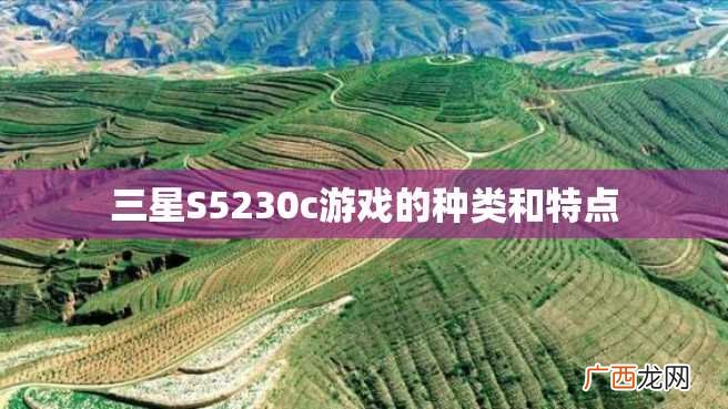 三星S5230c游戏的种类和特点