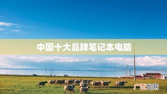 中国十大品牌笔记本电脑