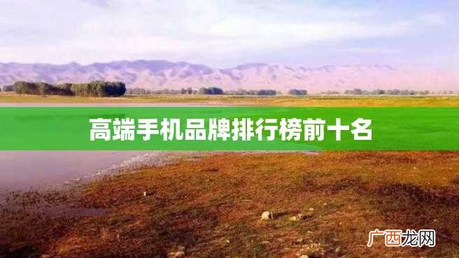 高端手机品牌排行榜前十名
