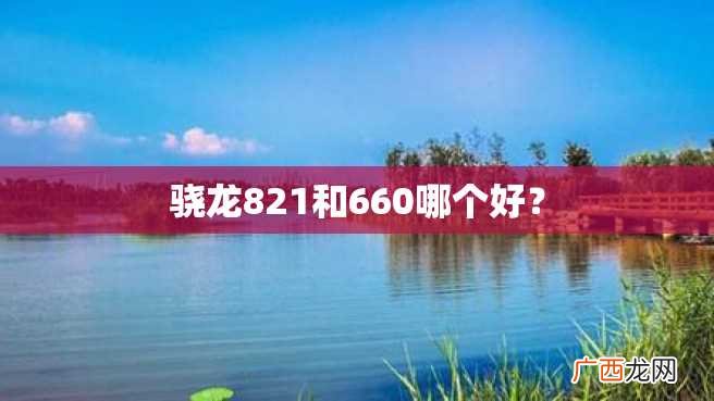 骁龙821和660哪个好？