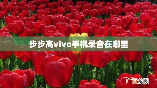 步步高vivo手机录音在哪里