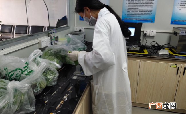 哪6种蔬菜农药残留为零吃农药残留蔬菜有什么危害