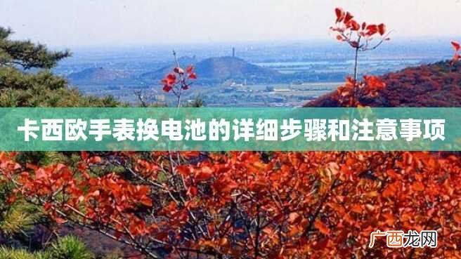 卡西欧手表换电池的详细步骤和注意事项
