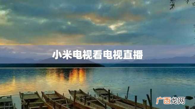 小米电视看电视直播