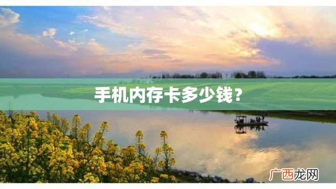 手机内存卡多少钱？