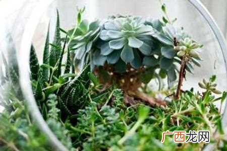 诺基亚作为一家历史悠久、技术领先的手机生产厂商，在过去的二十多年里，推出了许多经典手机，如今我们不妨来回忆一下最早的诺基亚手机所有型号图片。