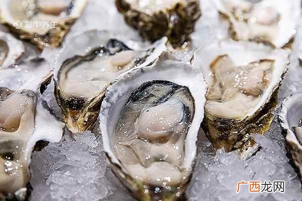 生蚝怎么保存最新鲜