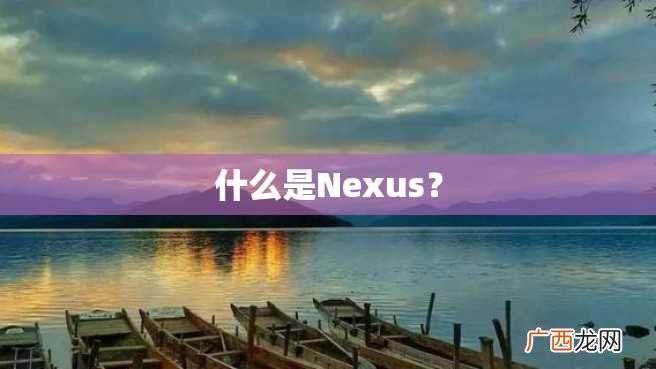 什么是Nexus?