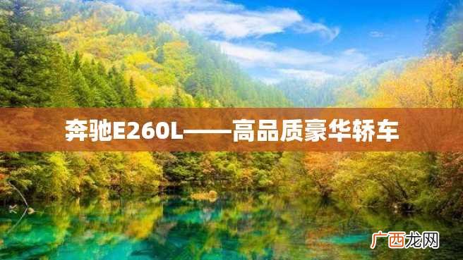奔驰E260L——高品质豪华轿车