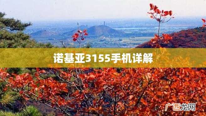 诺基亚3155手机详解