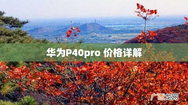 华为P40pro 价格详解