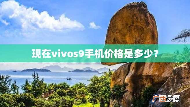 现在vivos9手机价格是多少？
