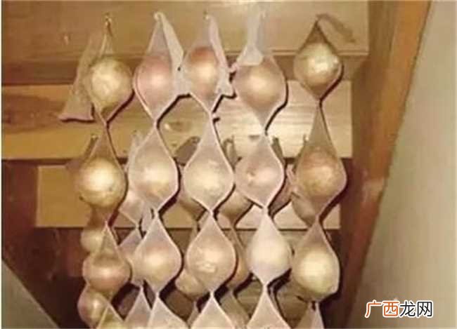 保存食物小妙招实用的方法