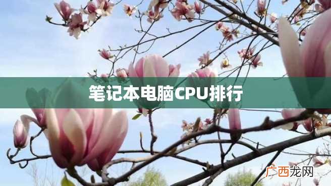 笔记本电脑CPU排行