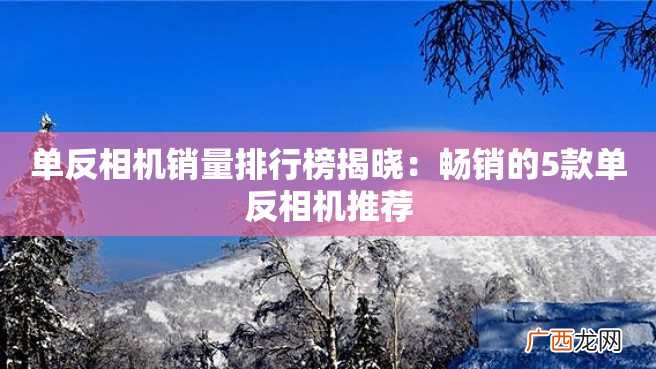 单反相机销量排行榜揭晓：畅销的5款单反相机推荐