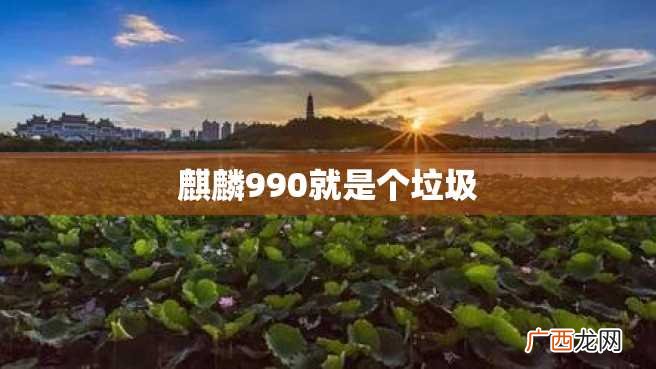 麒麟990就是个垃圾