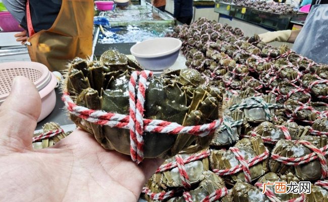 ?为何大闸蟹跌出“白菜价”