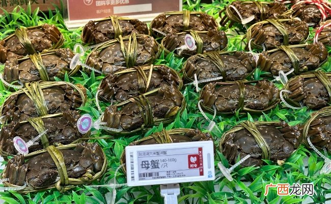 ?为何大闸蟹跌出“白菜价”