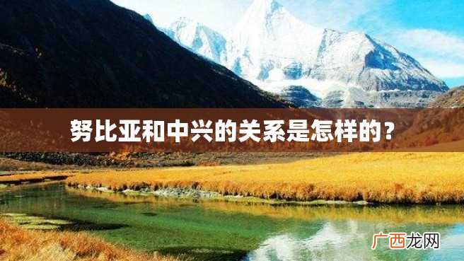 努比亚和中兴的关系是怎样的？
