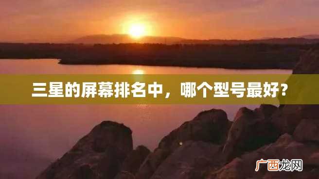 三星的屏幕排名中，哪个型号最好？
