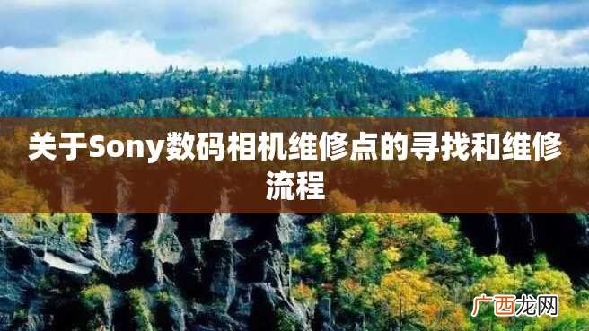 关于Sony数码相机维修点的寻找和维修流程