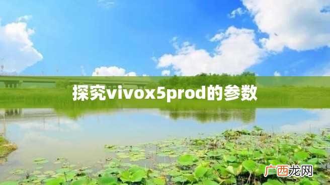 探究vivox5prod的参数