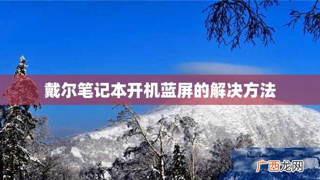 戴尔笔记本开机蓝屏的解决方法