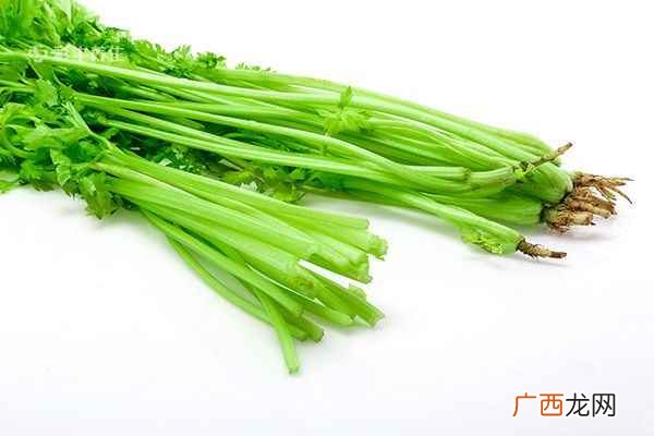 月经不调如何调理食补