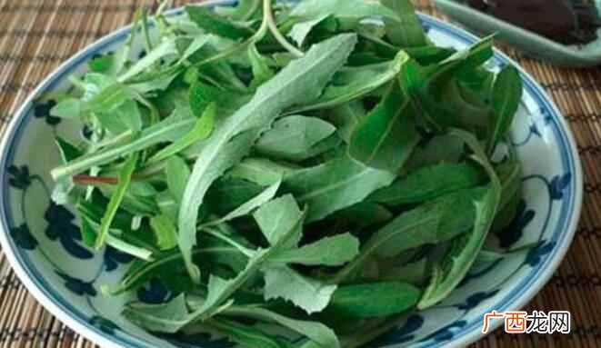 每种菜类或者水果都有其生长的最鼎盛的季节 苦菜是什么季节的