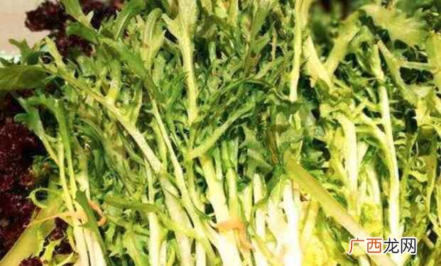 吃苦菜要注意的事项有哪些 吃苦菜的注意事项